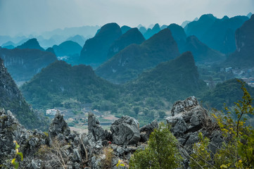 简单的生物问答题 （要答案)答案越短越好