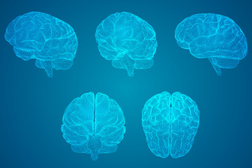 洛阳二外小学一年级开设英语课吗