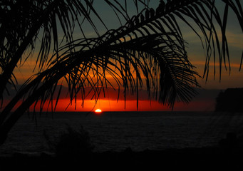 劳动节活动策划总结