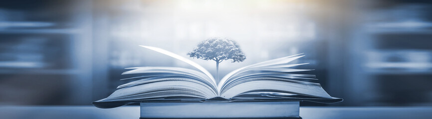 劳动节活动策划总结