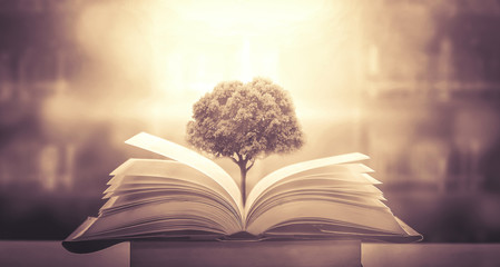 5分解与组成怎么教孩子