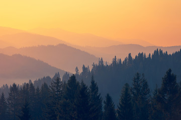 简单的生物问答题 （要答案)答案越短越好