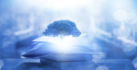 劳动节活动策划总结