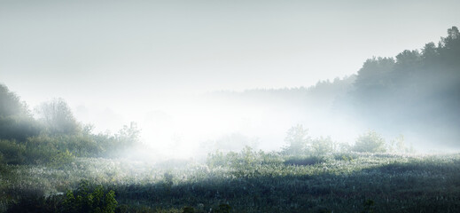 简单的生物问答题 （要答案)答案越短越好