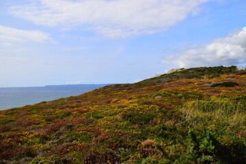 5分解与组成怎么教孩子