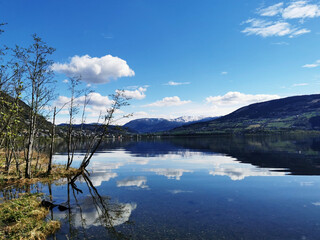 洛阳二外小学一年级开设英语课吗