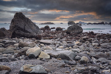劳动节活动策划总结