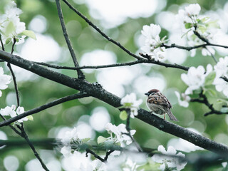 趣味记忆单词的方法介绍
