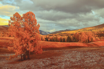 5分解与组成怎么教孩子