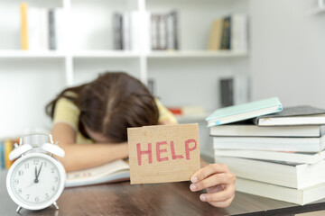 洛阳二外小学一年级开设英语课吗