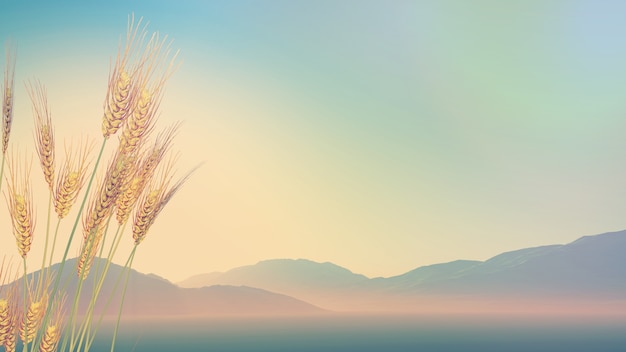 六一儿童节手抄报要写的字