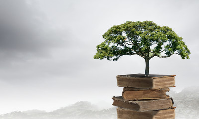 趣味记忆单词的方法介绍