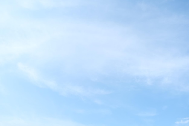 简单的生物问答题 （要答案)答案越短越好