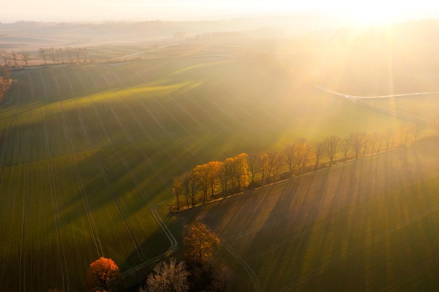 洛阳二外小学一年级开设英语课吗